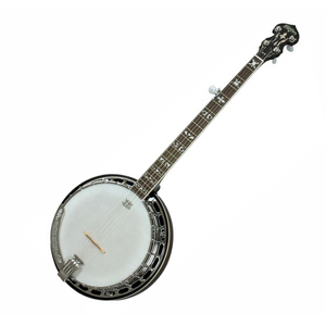 Washburn Banjo